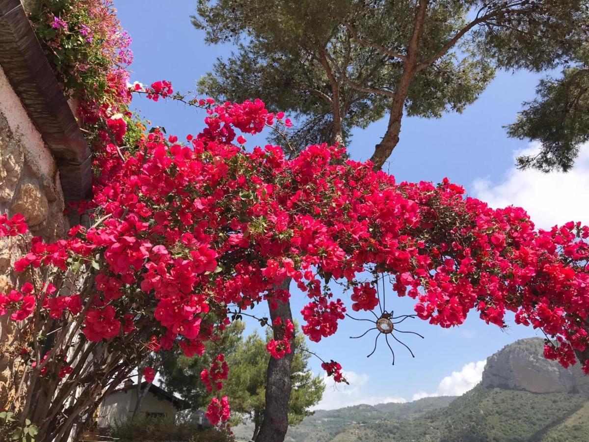 Villaggio Turistico Da Tonino Seglia San Bernardo Exteriér fotografie